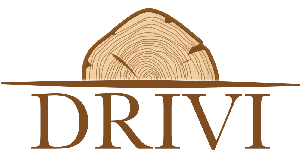 Logo Drivi